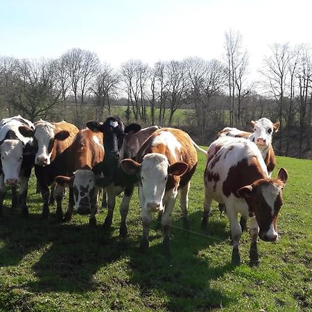 Hotel Glamping Des 2 Marguerites Bazoches-au-Houlme Esterno foto