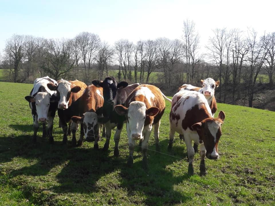 Hotel Glamping Des 2 Marguerites Bazoches-au-Houlme Esterno foto