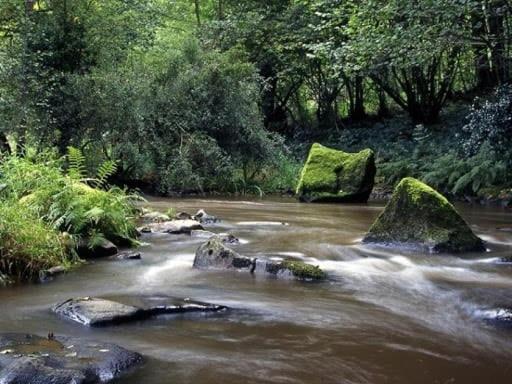 Hotel Glamping Des 2 Marguerites Bazoches-au-Houlme Esterno foto